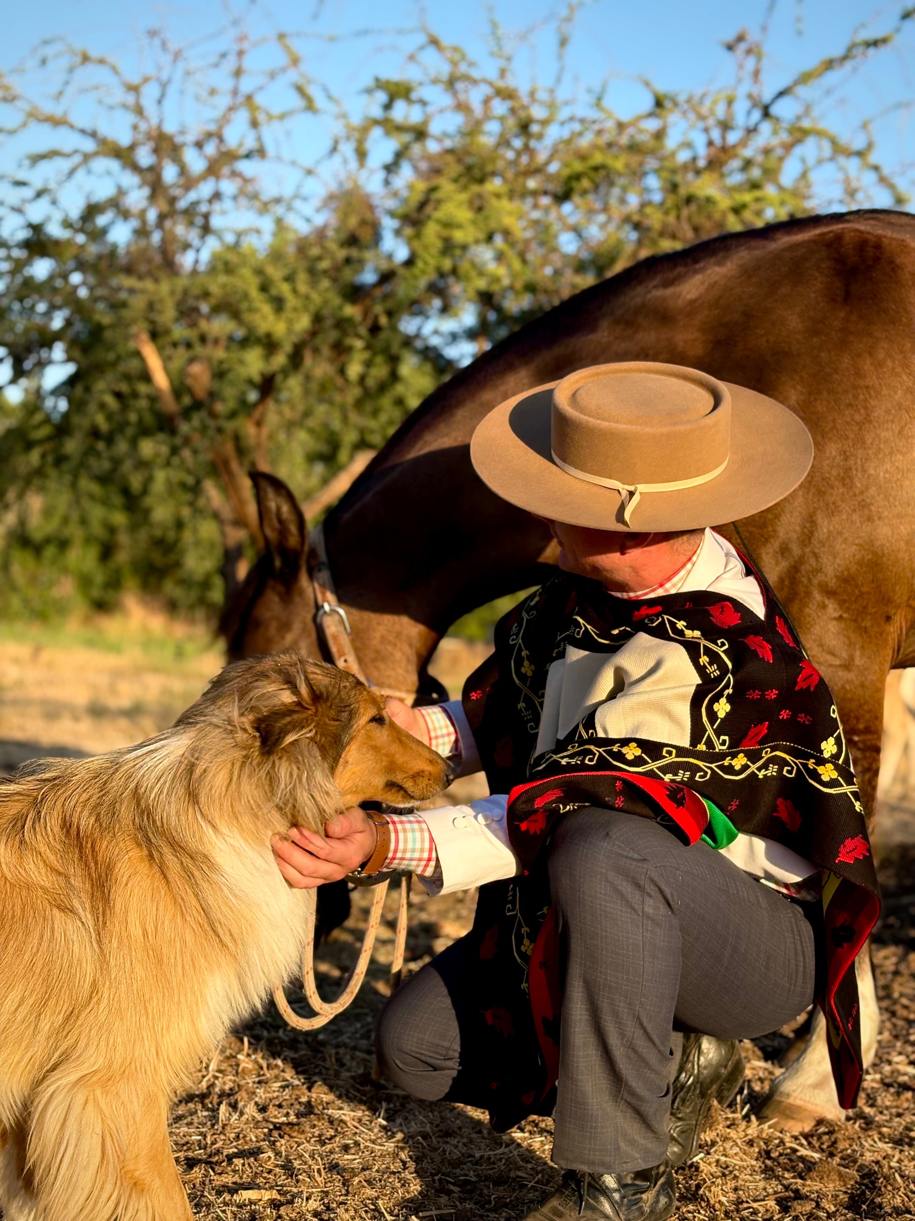 Sombrero de Huaso